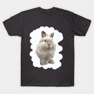 Cloud Rabbit White Lion Head _ Bunniesmee T-Shirt